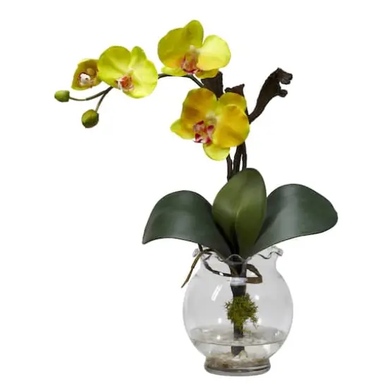 Mini Phalaenopsis with Fluted Vase Silk Flower Arrangement {1}