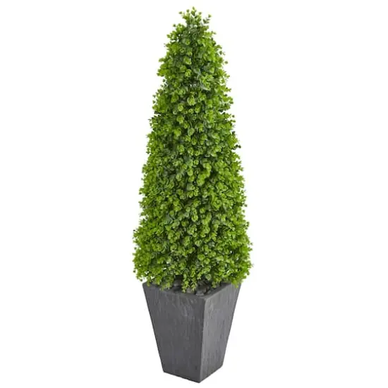 5ft. Eucalyptus Topiary Tree in Slate Planter {1}
