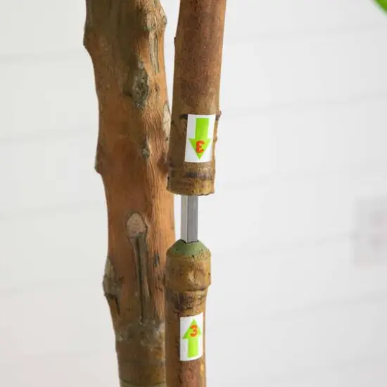 8ft. Real Touch Potted Willow Tree {8}