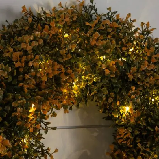 18in. Pre-Lit Autumn Boxwood Artificial Fall Wreath with 25 Warm White LED Lights {6}