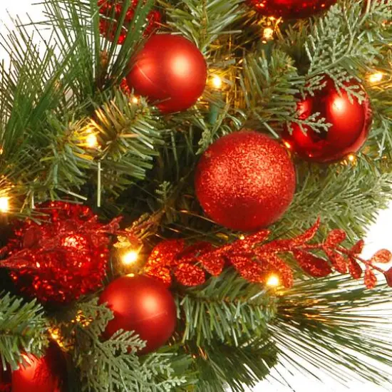 24" Decorative Collection Christmas Red Mixed Wreaths with 50ct. Soft White Battery Operated LED Lights with Timer {4}