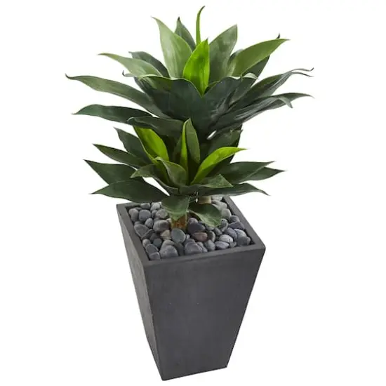 3ft. Double Agave Succulent Plant in Slate Planter {3}