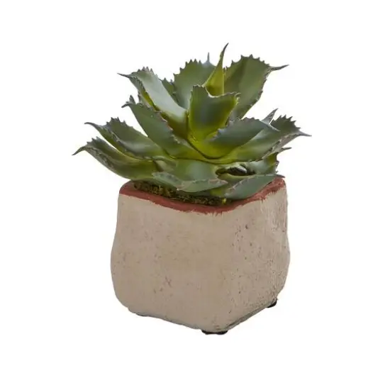 6" Potted Mixed Succulent Plants, 4ct. {6}