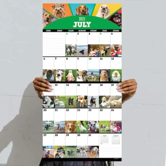 TF Publishing 2025 Dog-a-Day Wall Calendar {4}