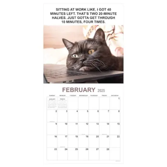 TF Publishing 2025 Corporate Cats Wall Calendar {6}