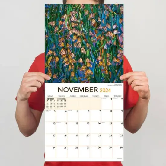 TF Publishing 2024 Animals in Motion Wall Calendar {6}