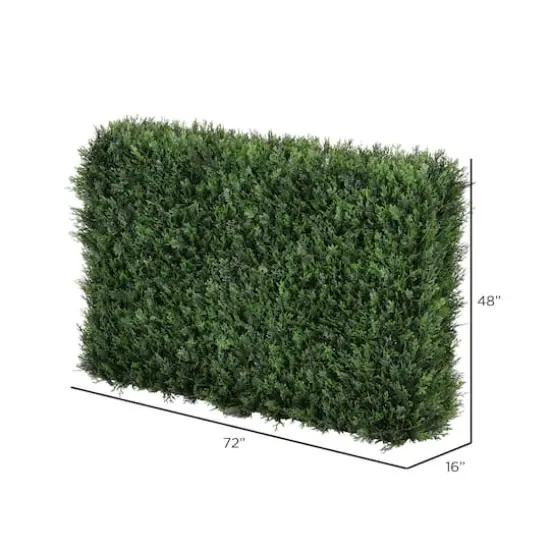 6ft. Cedar Hedge {4}