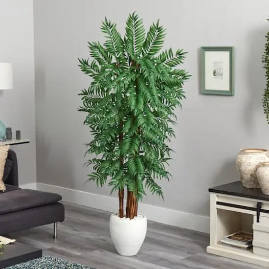 6ft. Parlor Palm Tree in White Planter {3}
