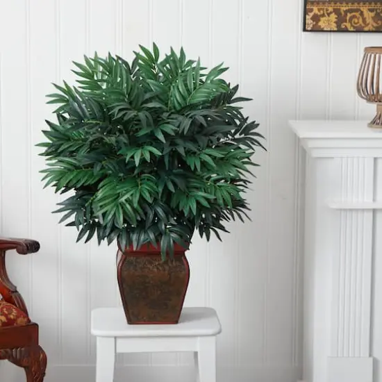 3ft. Double Bamboo Palm with Decorative Planter {3}