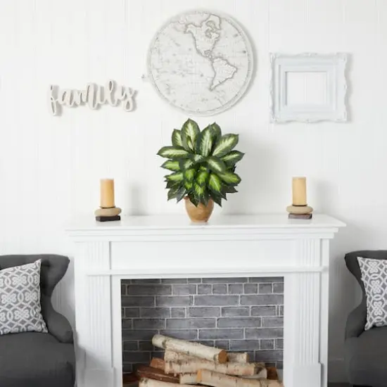 18" Dieffenbachia Tree In Ceramic Planter {5}