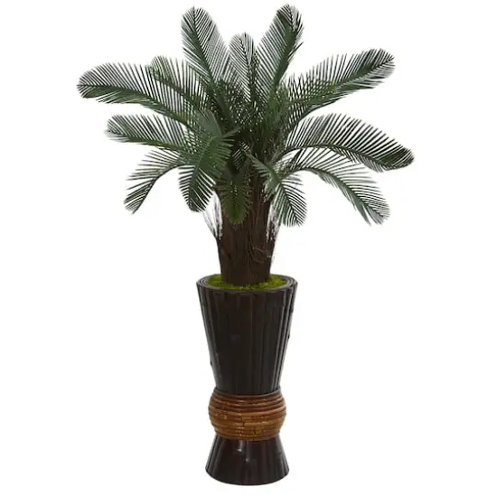 3.5ft. Cycas in Bamboo Planter {1}