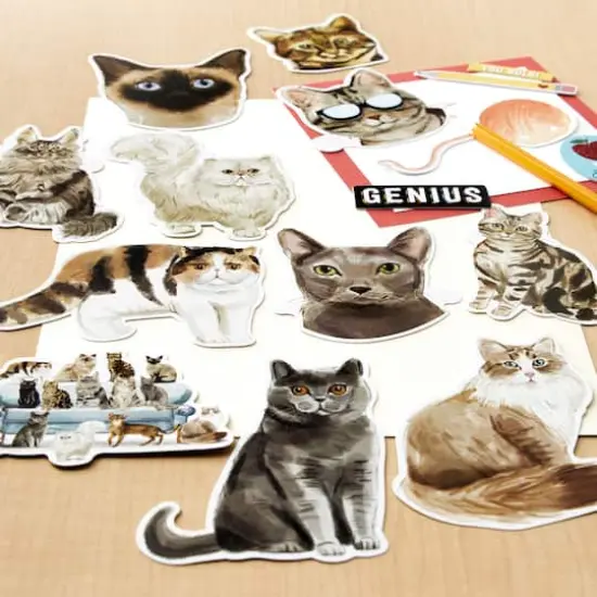 Cats Die Cut Stickers by Recollections&trade; {3}