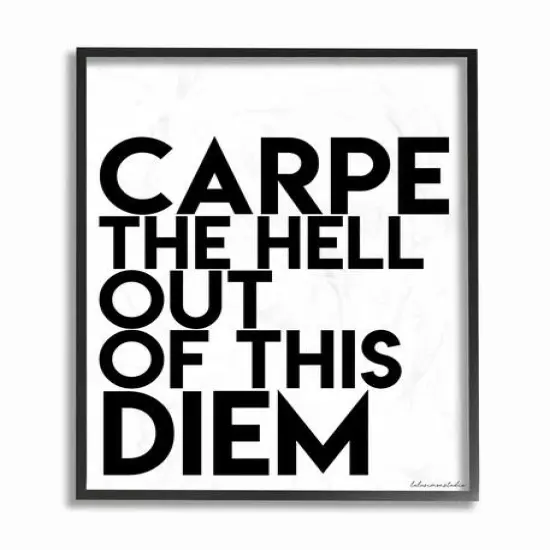 Stupell Industries Carpe Hell Out Of This Diem Typography Black Framed Wall Art {1}