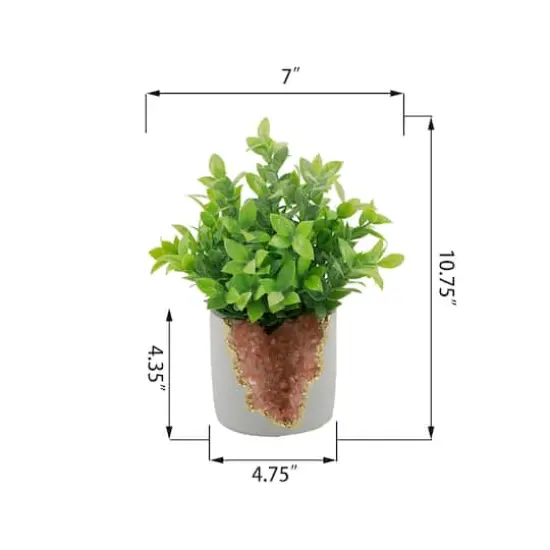 Flora Bunda&reg; 11" Tea Leaf in Pink Crystal Planter {4}