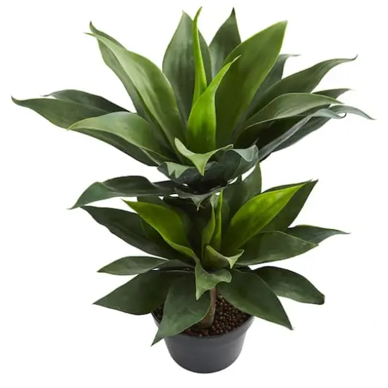 2.4ft. Potted Double Agave Succulent Artificial Plant  {3}