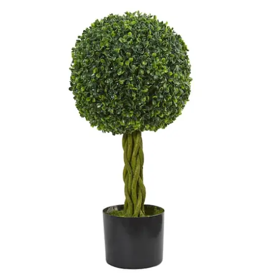 2ft. Potted Boxwood Ball with Woven Trunk Tree {1}