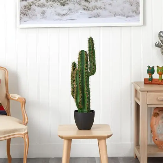 2.5ft. Potted Cactus Plant {3}