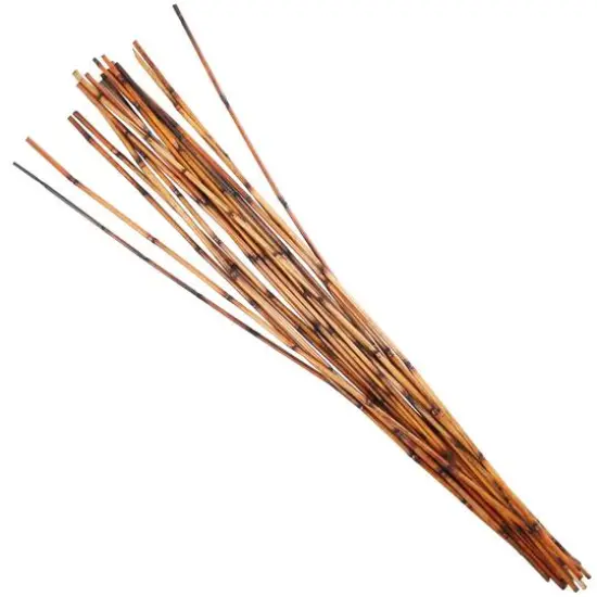 41" Brown Bamboo Sticks Natural Foliage {3}