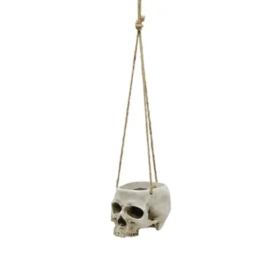 Small Skull Hanging Planter by Ashland&reg; {1}