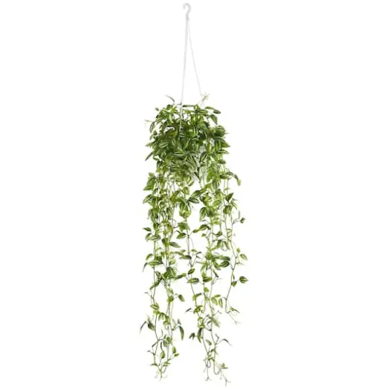 3ft. Green Variegated Wandering Jew Hanging Basket {1}