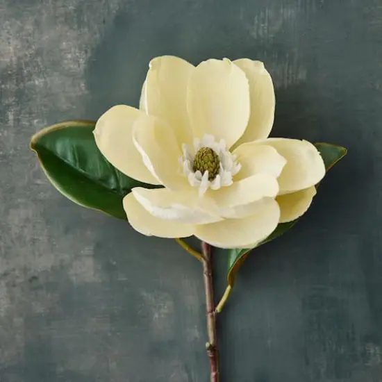 White Magnolia Stem by Ashland&reg; {3}