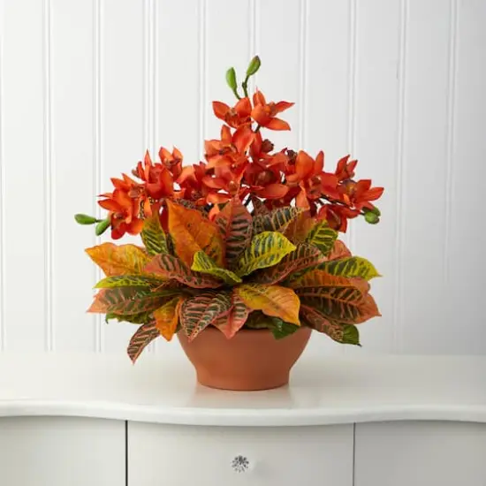 18" Boat Orchid & Croton Floral Arrangement in Terra Cotta Vase {4}