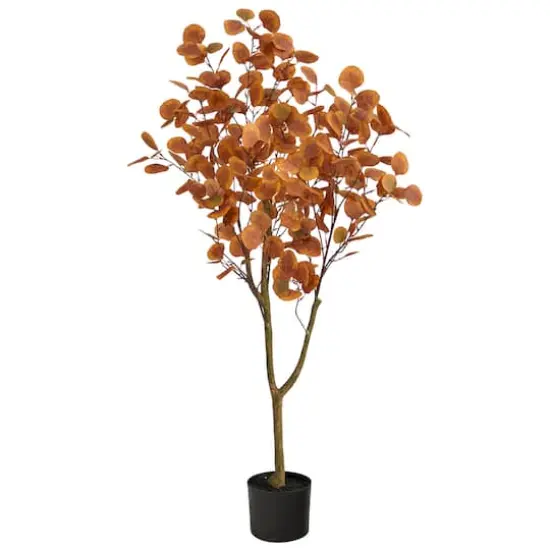 4ft. Potted Autumn Eucalyptus Tree {1}