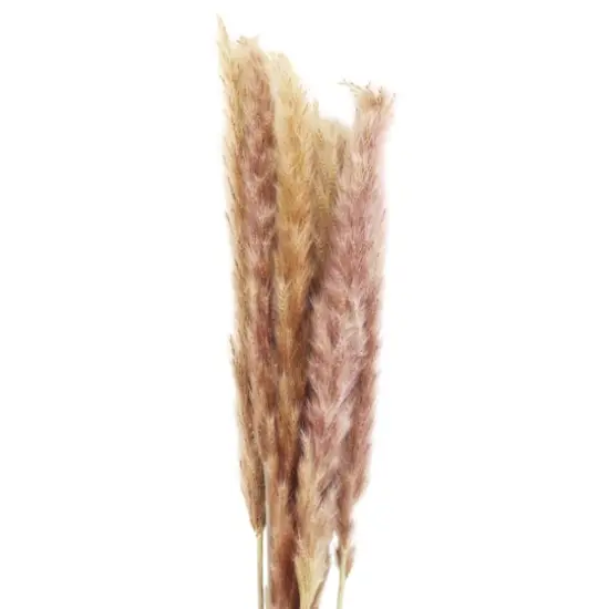 Mini Natural Brown Pampas Bunch by Ashland&reg; {4}