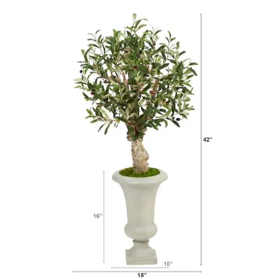 3.5ft. Olive Tree in Sand Colored Urn {3}