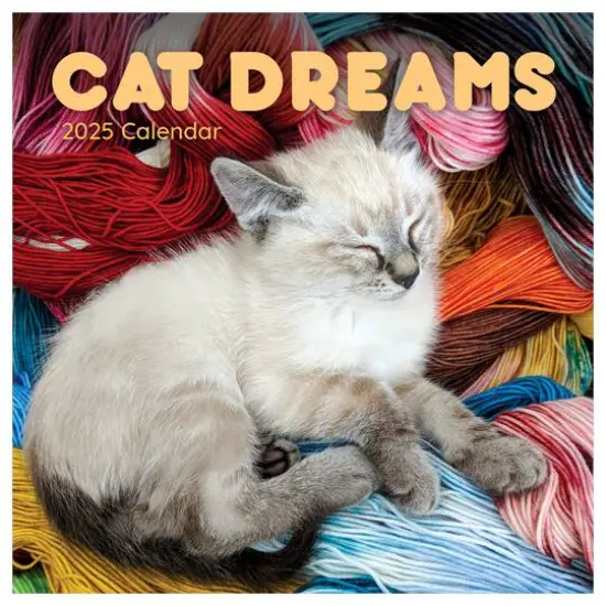 TF Publishing 2025 Cat Dreams Wall Calendar {1}