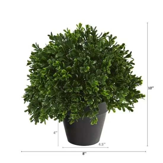 10&rdquo; Potted Boxwood Topiary Plant {3}
