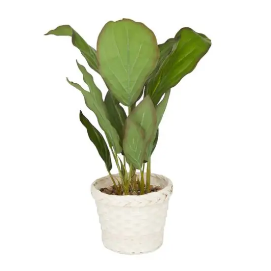 2ft. Coastal Style Artificial Foliage in White Bamboo Pot {3}