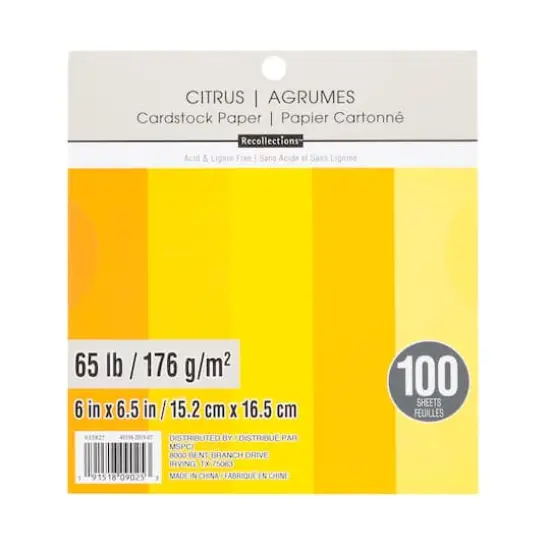 Citrus 6" x 6.5" Cardstock Paper by Recollections&trade;, 100 Sheets {1}