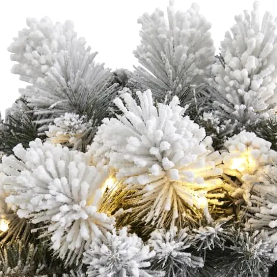 24" LED Flocked Christmas Wreath {3}