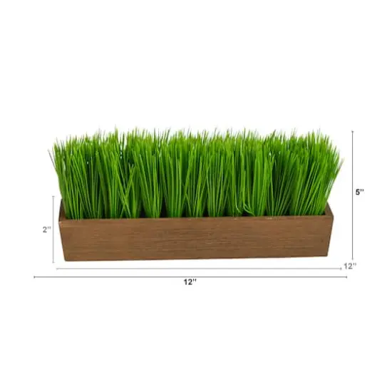 5" Grass Plant in Decorative Planter {3}