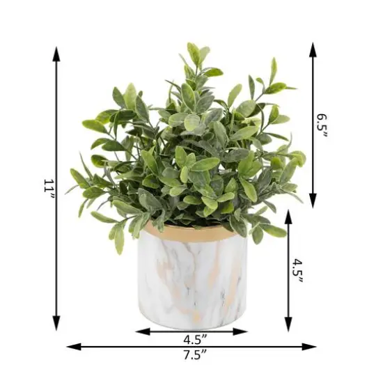 Flora Bunda&reg; 4.5" Tea Leaf In Marble Ceramic Pot {3}
