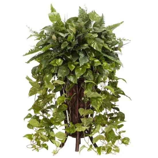 3ft. Vining Mixed Greens Plant in Decorative Stand {1}