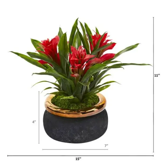 11" Red Bromeliad in Stoneware Planter {3}