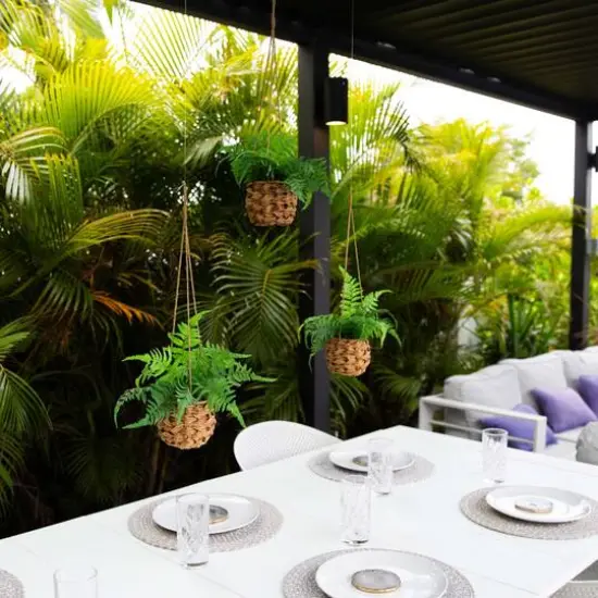 10" UV-Resistant Boston Ferns in Hanging Wicker Baskets, 3ct. {9}