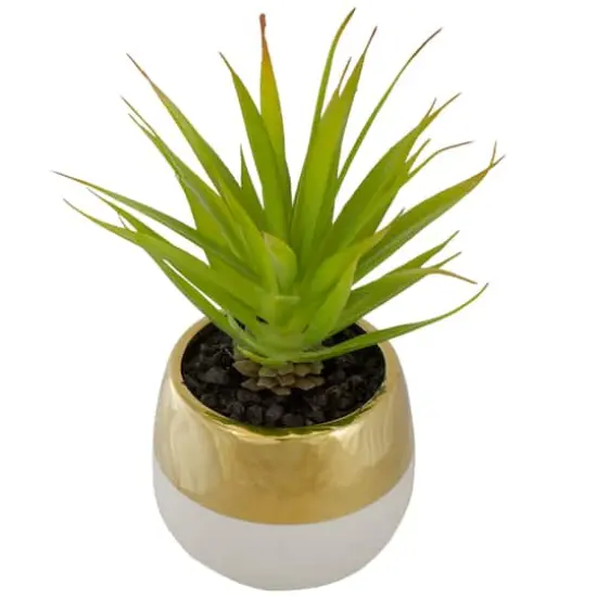 7" Potted Green Sword Grass Plant {4}