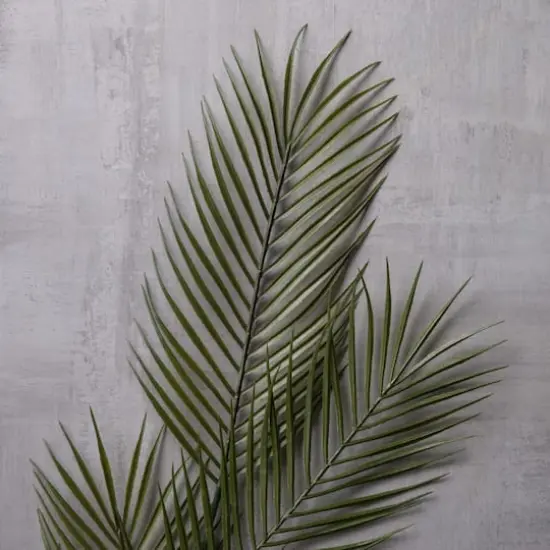 Tropical Areca Palm Stem by Ashland&reg; {3}