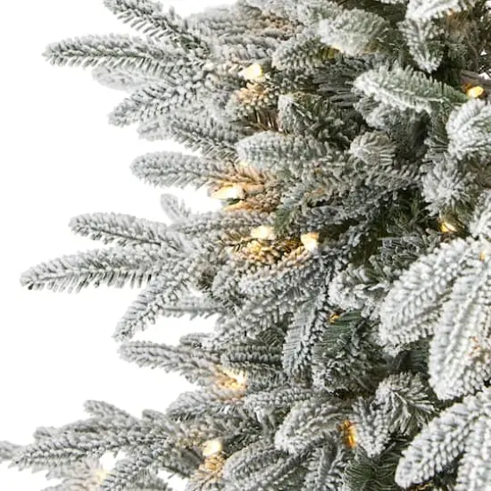5.5ft. Pre-Lit Manchester Spruce Artificial Christmas Tree, Clear LED Lights {4}