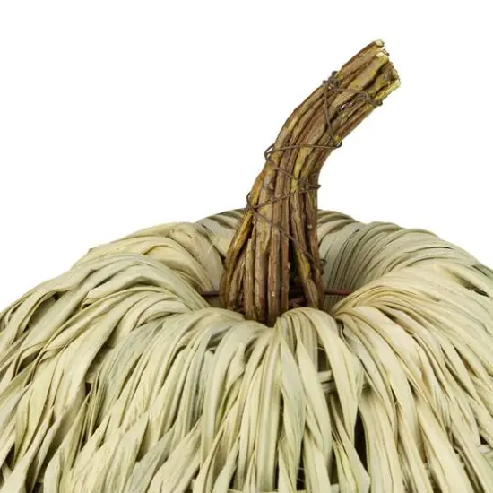 10" White & Brown Woven Pumpkin D&eacute;cor {5}