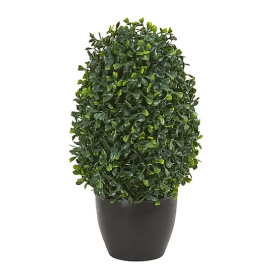 13&rdquo; Boxwood Topiary Tree in Black Planter {1}