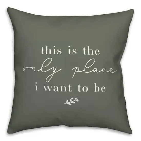 18" x 18" Only Place Versatile Throw Pillow Sage {1}