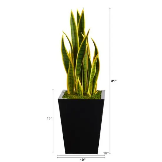 2.5ft. Snake Plant in Black Metal Planter {3}