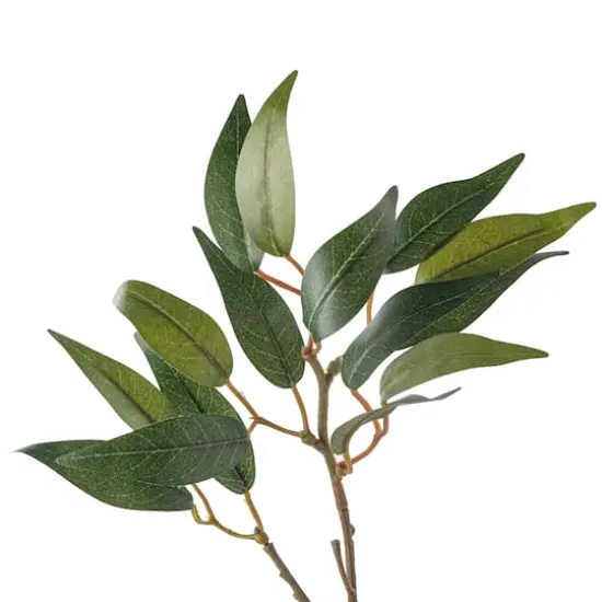 Osmanthus Stem by Ashland&reg; {4}