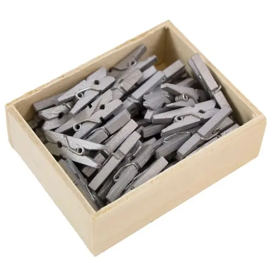 JAM Paper 7/8" Wood Clothespins, 100ct. Silver {4}