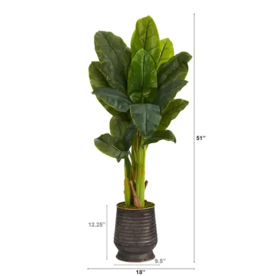 4ft. Triple Stalk Banana Tree in Ribbed Metal Planter {3}