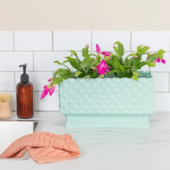 Hello Honey&reg; 11" Mint Ceramic Hobnail Planter with Scalloped Edge {4}